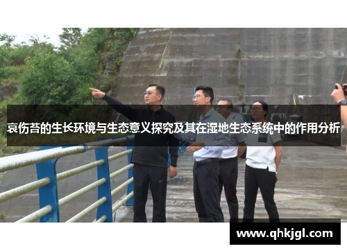 哀伤苔的生长环境与生态意义探究及其在湿地生态系统中的作用分析