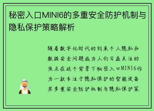 秘密入口MINI6的多重安全防护机制与隐私保护策略解析